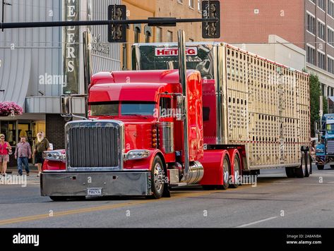 Cattle truck hi-res stock photography and images - Alamy Trade Books, Image Vector, Travel Book, Stock Photography, Image Search, Photo Image, Vector Illustration, Stock Images, Trucks