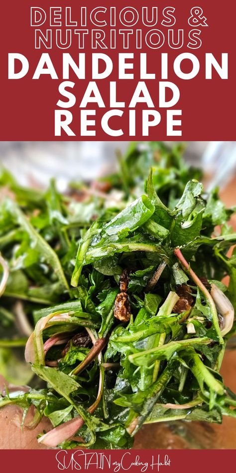 Looking for a new way to eat your greens or want to incorporate more wild plants into your diet? Than try this dandelion salad recipe. Dandelion Greens Salad, Dandelion Recipes Food, Dandelion Salad Recipes, Dandelion Recipes Greens, Dandelion Leaves Recipe, Interesting Salad Recipes, Dandelion Salads, Dandelion Food, Dandelion Greens Recipe