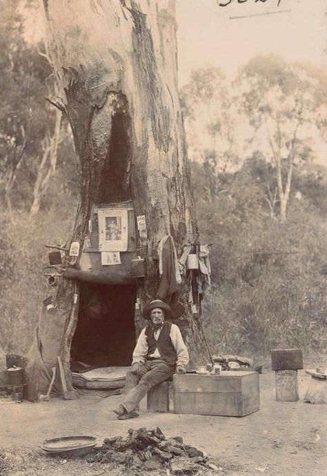 An Australian Swagman using a hollow gum tree as a campsite (c. 1880 Fantasy Dwellings, Australia History, Gum Tree, Wilde Westen, Outback Australia, Australian Bush, Antique Photos, Old West, Vintage Photography