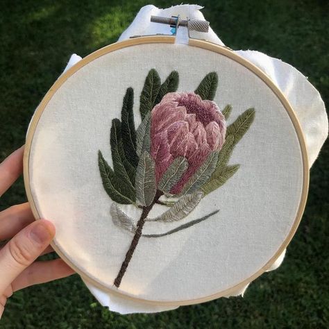 Little protea I finished last night. #threadpainting #embroidery #embroideryart #needlepainting #protea #flower Stumpwork Embroidery, Green Minimalist, Protea Flower, Floral Embroidery Patterns, Hand Embroidery Projects, Embroidery Flowers Pattern, Thread Painting, Flower Embroidery Designs, Embroidery Lace