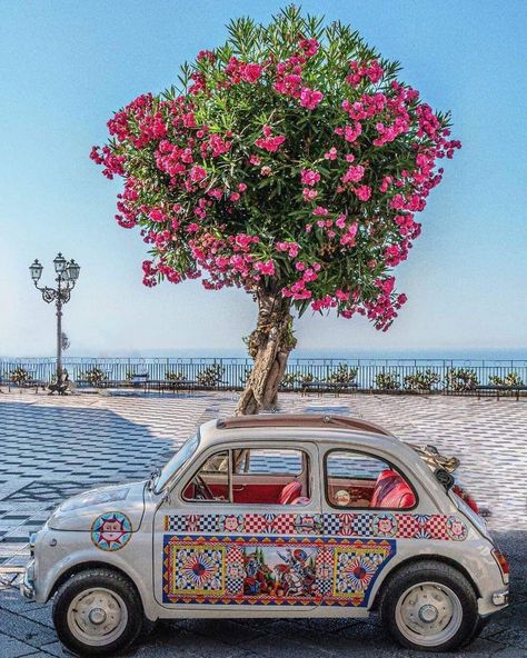 Taormina Italy, Magical Pictures, Taormina Sicily, Travel Globe, World Traveller, Sicily Italy, Fiat 500, Flower Fashion, Summer Holiday