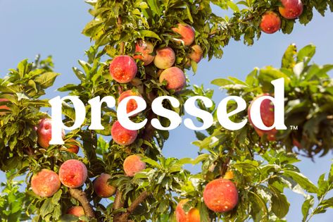 Pressed - High Tide Fresh Logo Design, Fresh Branding, Juice Company, Juice Branding, Travel Culture, Plant Seedlings, Food Branding, Pressed Juice, Cold Pressed Juice