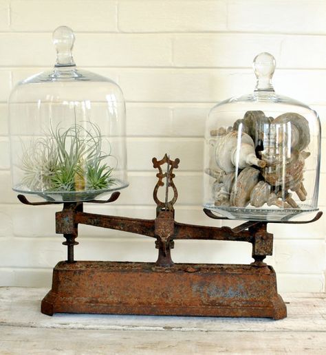 Glass Cloches, Cloche Decor, Vibeke Design, Deco Champetre, Vintage Scale, Glass Cloche, Deco Luminaire, The Bell Jar, Decor Guide