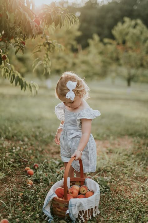 Peach picking, apple picking, anthropologie, orchard, nc photographer, samantha brooke, samantha brooke photography, sam brooke photo Orchard Photoshoot, Peach Picking, Toddler Photoshoot, Greensboro North Carolina, Toddler Photos, Toddler Photography, Toddler Fall, Foto Baby, Rustic Baby