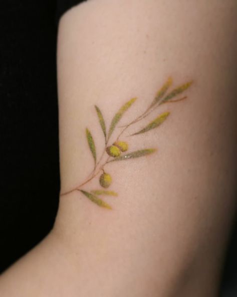 Olive Branch Tattoo Color, Green Olive Tattoo, Olive Tree Tattoos, Olive Tattoo, Tattoo 2022, Tree Branch Tattoo, Olive Branch Tattoo, Branch Tattoo, Back Of Neck Tattoo