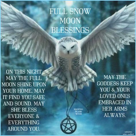 Spell Correspondences, Owl Spiritual Meaning, Owl Meaning, Full Moon Blessings, Full Snow Moon, Witch Info, Celtic Zodiac Signs, Celtic Zodiac, Owl Totem