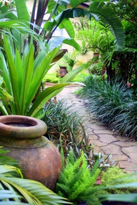 Beautiful backyard walkway with Heliconias, Banana Plants, Bird of Paradise, and lust tropical landscape Bali Garden, Balinese Garden, Balinese Decor, Tropical Garden Design, Tropical Backyard, Banana Plants, Beautiful Backyards, Tropical Landscaping, Landscaping With Rocks