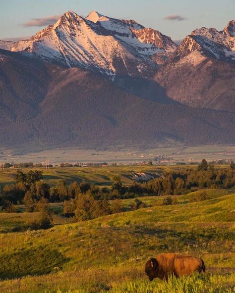 Western Montana, Montana Ranch, Montana Mountains, Western Landscape, Big Sky Country, Scenic Photography, Douglas Fir, Big Sky, Ecosystem