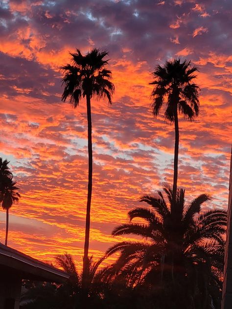 #Phoenix #Arizona #Sunset Sunset In Arizona, Arizona Aesthetic Pictures, Phoenix Arizona Aesthetic, Phoenix Arizona Sunset, Dream Roadtrip, Phoenix Aesthetic, Aesthetic Arizona, Az Sunset, Downtown Phoenix Arizona