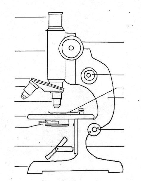 Compound Microscope Drawing Easy, Compound Microscope Drawing, Microscope Drawing Easy, Microscope Drawing With Label, Microscope Sketch, Microscope Diagram, Microscope Drawing, Compound Microscope, Boho Canvas Art