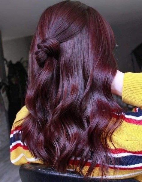 Pelo Color Vino, Dark Hair Color, Wine Hair Color, Rambut Brunette, Red Hair Inspo, Wine Hair, Cherry Hair, Hair Color Burgundy, Winter Hair Color