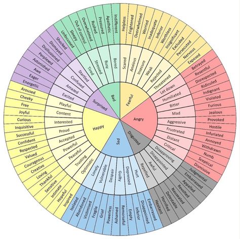 Emotion Wheel: What It Is and How to Use It | Fairygodboss Wheel, Feelings