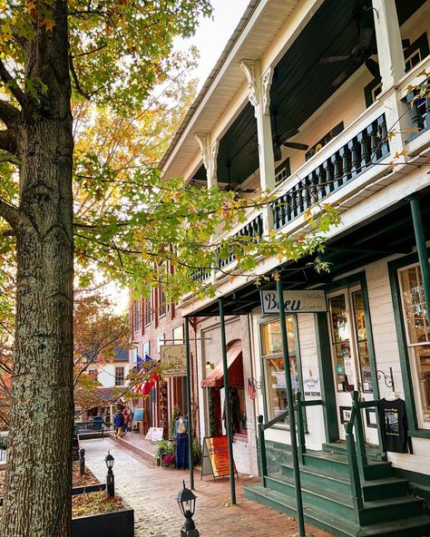 Helen to Dahlonega Fall Road Trip | Official Georgia Tourism & Travel Website | Explore Georgia.org Things To Do In Dahlonega Ga, Helen Georgia Fall, Fall In Georgia, Dalonagha Georgia, Dahlonega Georgia Things To Do, Georgia Road Trip, Georgia Getaways, Atlanta Trip, Ga Mountains