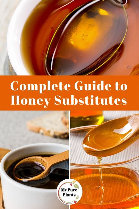 Substitute For Honey In A Recipe, Substitute For Honey, Vegan Honey Recipe, Corn Syrup Substitute, Honey Alternative, Cooking Substitutes, Honey Substitute, Vegan Honey, Honey Mustard Glaze