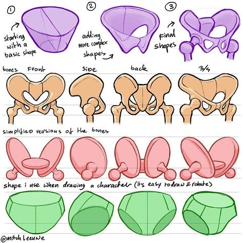 Mitch Leeuwe on Instagram: “Tips for drawing the pelvis. Mostly Im using the lower row to draw the pelvis for my charcters. But its good to have an understanding how…” Pelvis Anatomy, Mitch Leeuwe, Drawing Resources, Tips For Drawing, Anatomy Studies, Anatomy Sculpture, Drawing Anatomy, Human Anatomy Drawing, Human Figure Drawing