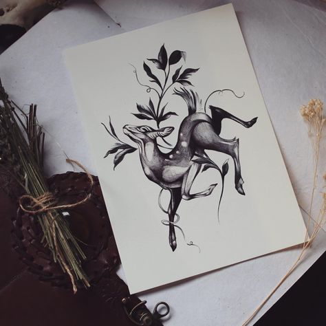 Horse Stomach Tattoo, Scarecrow Tattoo, Fawn Tattoo, Grey Illustration, Doe Tattoo, Deer Sketch, Stag Tattoo, Deer Illustration, Deer Tattoo