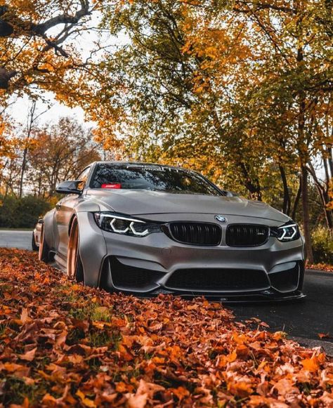 BMW M4 F82🦈 BMW M4 F82🦈 Bmw Pictures, Bmw Iphone Wallpaper, Bmw M4 F82, M4 F82, Car Iphone Wallpaper, M Power, Sports Car Wallpaper, Bmw M Power, Bmw Wallpapers