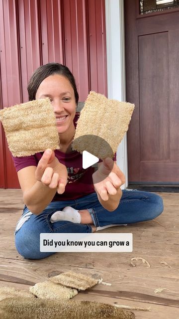 Hydroponic Farming, Hand Carved Teak, Natural Sponge, Loofah Sponge, Homesteading Skills, Outdoor Crafts, Seed Saving, Christmas Mason Jars, Natural Cleaners