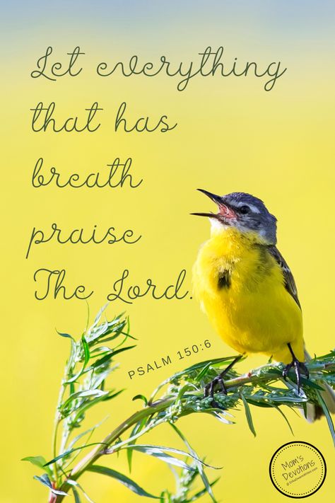 Great Is The Lord And Greatly To Be Praised, Praise Be To God, Every Praise Is To Our God, Praise Verses Scriptures, Praise The Lord Oh My Soul, Love The Lord With All Your Heart, Praise The Lord Quotes, Praise And Worship Quotes, Praise God Quotes