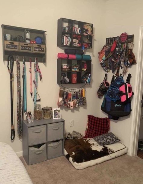 Dog Room Storage, Organize Dog Clothes, Service Dog Organization, Dog Collar Storage, Working Dog Gear, Service Dog Gear Organization, Dog Supply Organization, Dog Training Room Ideas, Service Dog Gear Wall