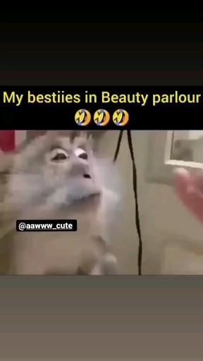 Jokes On Best Friend, Funny Jokes About Friends, Best Frnd Wallpapers, Funny Videos Of Best Friends, Funny Videos About Friends, Tag Your Best Friend Funny Video, Funny Videos For Best Friend, Funny Video For Best Friend, Funny Jokes For Best Friends