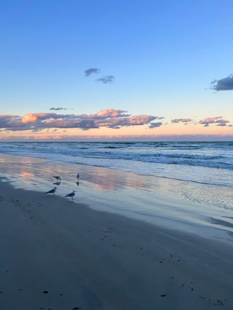 new symrna beach, fl New Symerna Beach Florida, Hernando Beach Florida, Beach Sunset Florida, Playalinda Beach Florida, New Smyrna Beach Florida, New Smyrna Beach, Good Times, Florida, Collage