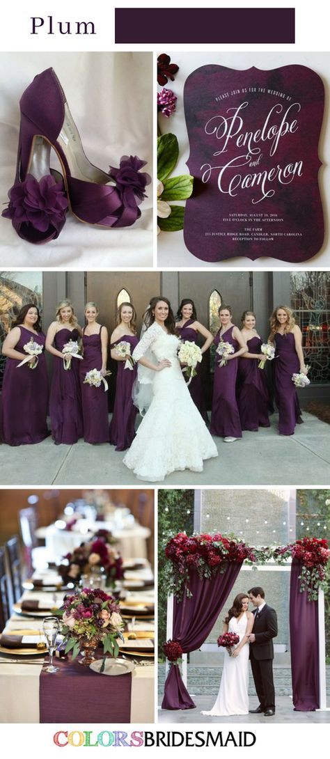 Purple Wedding Color Schemes, Fall Wedding Color Schemes, Wedding Color Scheme, Fall Purple, Fall Wedding Color Palette, Plum Wedding, Purple Wedding Theme, Wedding Colors Purple, Wedding Color Inspiration