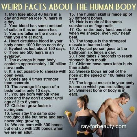 Human Body Facts, Facts About Humans, Medical Facts, Medical Knowledge, Science Facts, Anatomy And Physiology, The Human Body, Psychology Facts, The More You Know