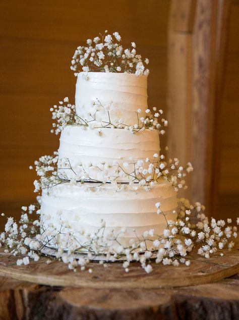 Baby's Breath inspired wedding cake Centerpiece Stands Wedding, Rustic White Wedding Cake, Wedding Cake Simple White, Baby Breathe Center Piece Wedding, Gypsophila Wedding Cake, Cannoli Wedding Cake, Babies Breath Wedding Arch, Wedding Cake Simple Flowers, Babys Breath Wedding Bouquets