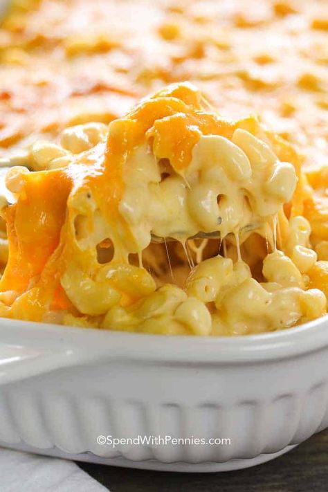 Mc And Cheese Recipe, Mac And Cheese Recipe Soul Food, Macaroni And Cheese Casserole, Best Mac N Cheese Recipe, Mac And Cheese Casserole, Baked Mac And Cheese Recipe, Best Macaroni And Cheese, Cheesy Mac And Cheese, Macaroni Cheese Recipes