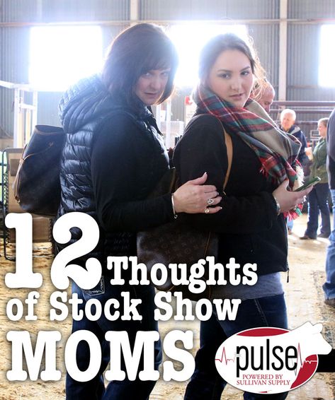 12 Thoughts of Stock Show Moms | The Pulse Stock Show Snacks, Show Calves, Stock Show Mom Outfits, Stock Show Hairstyles, Stock Show Quotes, Livestock Show Hairstyles, Livestock Show Outfits Sheep, Show Pigs Tips, Cattle Show Outfits