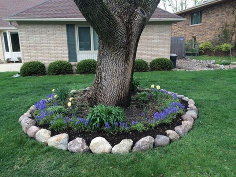 Landscape Ideas Around Large Trees, Stone Edging Around Trees, Bottom Of Tree Ideas, Tree With Rocks Around It, Rock Border Around Tree, Rocks Around Tree Landscaping, Rock Garden Around Tree, Tree Rings Landscape Ideas, Edging Around Tree