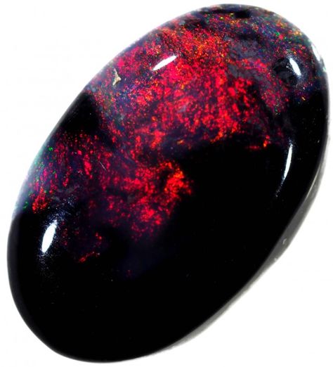 Black Opal Gemstone Ring, Black Opal Ring Opal Auctions, Stone Well, Black Gemstones, Black Opal Pendant, Black Opal Stone, Black Gems, Australian Black Opal, Rare Stone