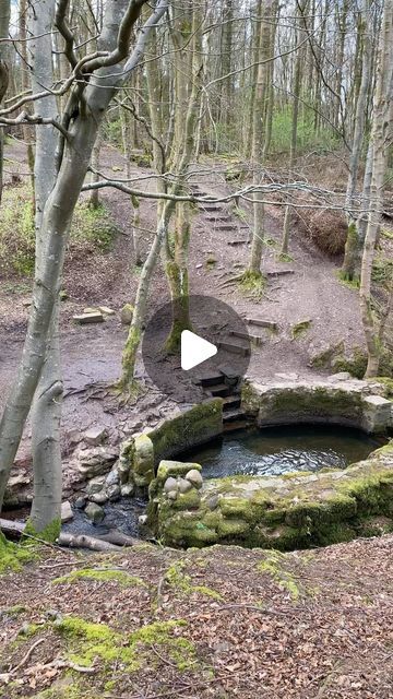 Emily in Scotland on Instagram: "Do you want to visit a 400 year old bath and a fairy Shell House ?🛁🐚🧚 Come for a look ✨ The Shell House is so beautifully decorated 🦪🐚  #scotland #dunnottar #shellhouse #history #uniqueplaces #walkwithme #nature #walkhighlands #aberdeenshire #stonehaven #visitscotland" Scotland Homes, Scottish Cottages, Scotland Vacation, Scottish Homes, Scotland Trip, Shell House, Airplane Mode, Visit Scotland, April 26