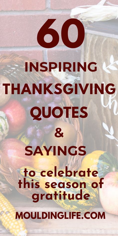 Here is a collection of 60 Happy Thanksgiving Quotes and Sayings for friends and family. Thank you quotes for thanksgiving | Thanksgiving day quotes | Thanksgiving Sayings Inspiration | Cute happy thanksgiving quotes | Thanksgiving quotes inspirational family | Thanksgiving quotes thankful family | Happy thanksgiving quotes family | Thanksgiving day quotes | Thanksgiving wishes quotes Happy Thanksgiving Images And Quotes, This Thanksgiving I Am Thankful, Thanksgiving Quotes Inspirational Funny, Thanksgiving Positive Quotes, Thanksgiving Quotes Inspirational Family, Happy Thanksgiving Friends Quotes, Thanksgiving Poems For Family, Thanksgiving Quotes Thankful Happy, Thanksgiving Quotes Thankful Family