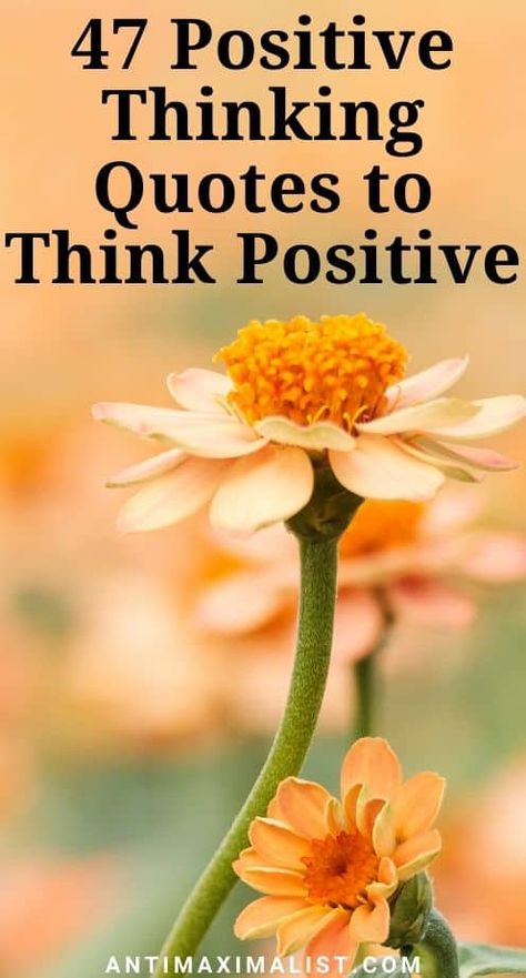 These positive thinking quotes will inspire you to see the bright side of life in 2020. Let these positive quotes keep you encouraged this year. #positivethinkingsquotesgoodvibes #positivequotesforlifehappiness #positivequotesmotivation #positivethinkingquotesgoodvibeslife Quotes For Thinking Of You, Motivational Quotes For Life Positivity Good Vibes, Quotes For The Day Positive, Quotes With All The Positive Vibes, Postive Thought Quote, Positive Thoughts Quotes In English, You Got This Quotes Encouragement, Best Thoughts In English, Positive Vibes Quotes Inspiration