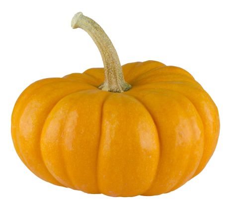 Squash Acorn, Pumpkin Vegetable, Food Png, Pumpkin Png, Wild Food, Winter Squash, Pumpkin Faces, Canned Pumpkin, Fruit And Veg