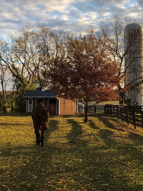 Photo of the Historic Beechmont Farm near Bowling Green Kentucky Horses On Farm, Ranch Life Country Living, Country Lifestyle Farm Life, Farm Aesthetic Country Living, Country Home Aesthetic, Kentucky Aesthetic, Small Horse Farm, Warrior Cats Clans, Kentucky Horse Farms