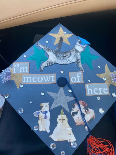 taylor swift confetti, cats, grad cap, graduation cap Creative Grad Cap Ideas, Garfield Graduation Cap, Indie Graduation Cap, Artistic Graduation Cap, Graduation Cap Decoration Taylor Swift, Regular Show Graduation Cap, Grad Cap Designs High School 2024, Punk Graduation Cap, Artsy Graduation Cap