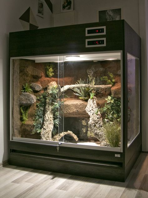 So wird Ihr Terrarium zum Hingucker: Terrarium für Schlangen ohne Unterschrank, nur mit einer Bodenblende (unser Typ T07F) Terrariums Diy, Snake Cages, Diy Reptile, Bearded Dragon Terrarium, Snake Terrarium, Snake Enclosure, Bearded Dragon Habitat, Gecko Terrarium, Reptile Tank