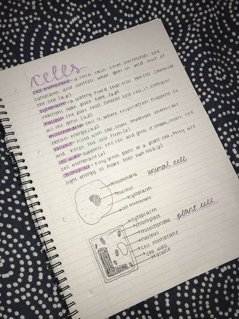 Cell Revision Notes, Childcare Revision Notes, Pretty Notes Aesthetic Biology, Junior Cert Study Notes, Revision Notes Layout, Study Notes Physics, Aesthetic Revision Notes, Gcse Notes, Revision Motivation
