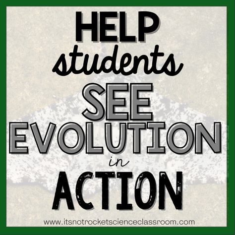 Evolution Lessons High School, Biology Activities High School, High School Biology Classroom, Evolution Activities, High School Biology Teacher, Biology Lesson Plans, Physical Science Lessons, Biology Activity, High School Science Teacher