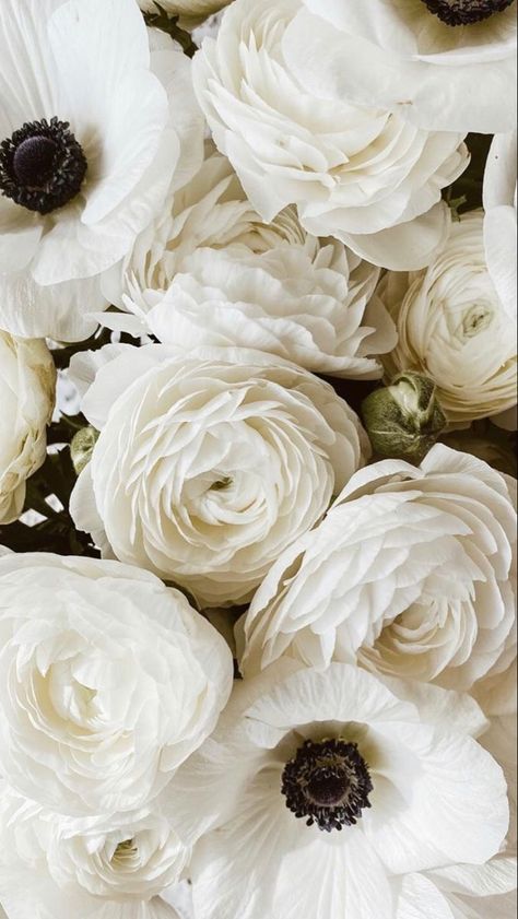 Anemone And Rose Centerpiece, Renuculas White, White Ranunculus Centerpiece, Ranuculas Flowers, Runuculous Flower, Ranunculus Aesthetic, White Floral Aesthetic, White Ranunculus Bouquet, Ranunculus Wallpaper