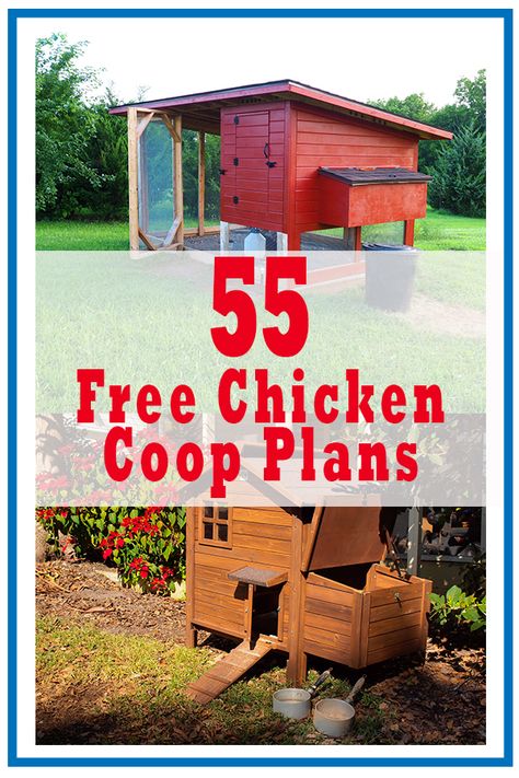 Free Chicken Coop, Easy Diy Chicken Coop, Chicken Coop Ideas, Chicken Coop Plans Free, Chicken Coop Blueprints, Hen Coop, Urban Chicken Farming, Easy Chicken Coop, Portable Chicken Coop