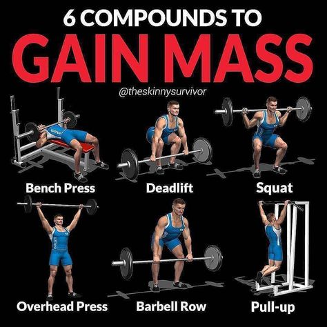 6 COMPOUNDS TO GAIN MASS by @theskinnysurvivor ... Ectomorph Workout, Fitness Studio Training, Gain Mass, Workout Man, Best Chest Workout, Gain Muscle Mass, Gym Antrenmanları, Compound Exercises, Gym Tips