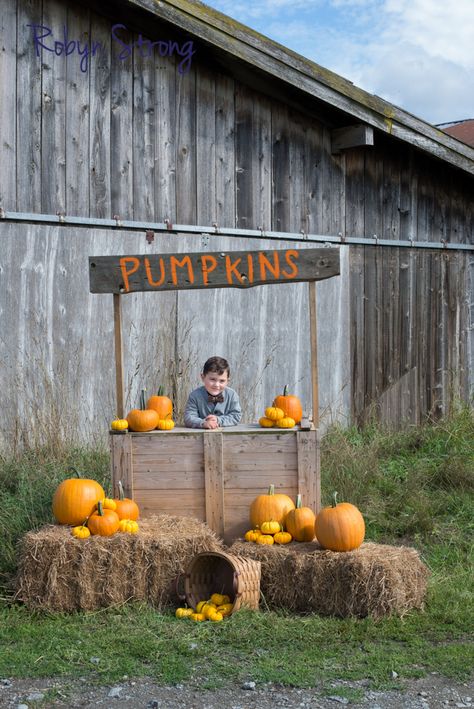 Fall Photo Cutout Board, Pumpkin Sale Stand, Hay Bales And Pumpkins, Fall Photo Booth, Pallet Pumpkin, Fall Pallets, Pumpkin Stand, Pumpkin Patch Sign, Fall Party Themes