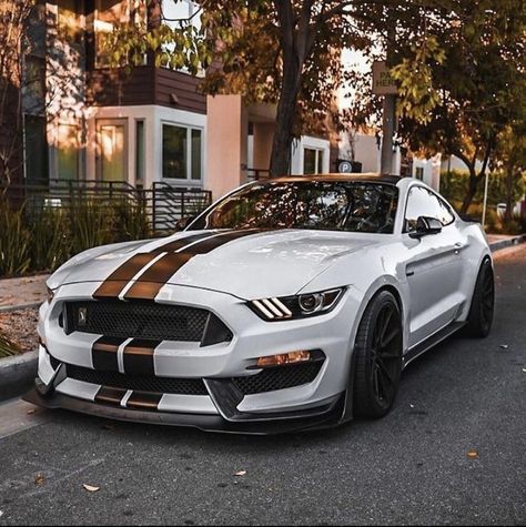 White Modified Cars, White Ford Mustang, White Mustang Gt, White Convertible Mustang, White Mustang With Pink Stripes, Vintage White Mustang, Ford Mustang Ecoboost, Mustang Ecoboost, Mazda Cx5