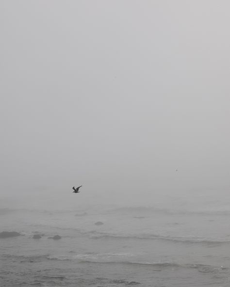 me 🤝 a foggy beach Foggy Beach Aesthetic, Foggy Beach, Beach Picture, Beach Aesthetic, Beach Pictures, Quick Saves