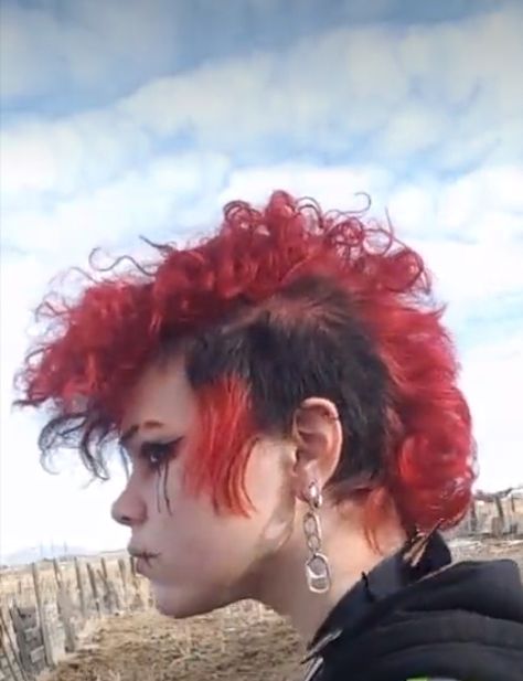 Curly Hair Deathhawk, Cool Grunge Hairstyles, Short Deathhawk Mullet, Alternative Hair Inspiration, Deathhawk Short, Deathhawk Haircut, Punk Curly Hairstyles, Punk Hair Curly, Curly Deathhawk