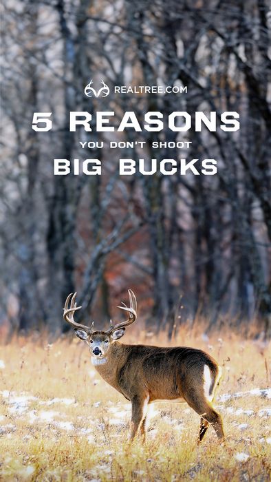 Stuck in a slump of unfilled tags? We’ve all been there. Chances are one of these reasons is to blame. Deer Facts, Big Whitetail Bucks, Whitetail Deer Hunting, Big Deer, Deer Hunting Tips, Whitetail Bucks, Wild Game Recipes, Venison Recipes, Hunting Tips